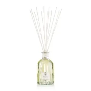 Ginger_Lime-1595276386.jpg Ginger Lime
