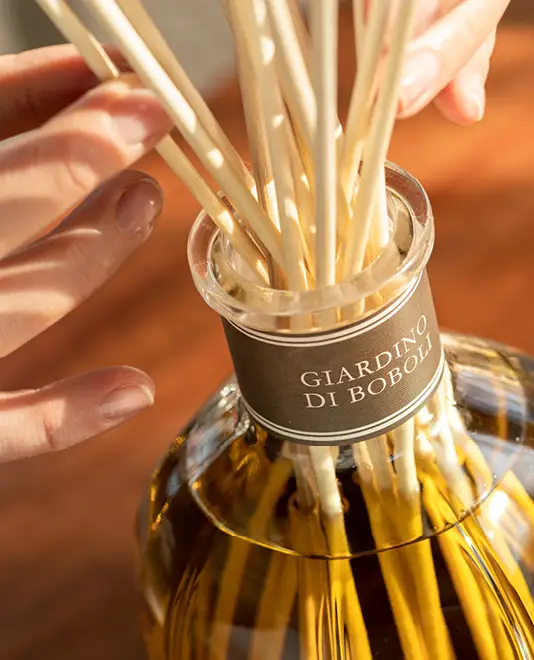 Вся линейка ароматов для дома Dr. Vranjes