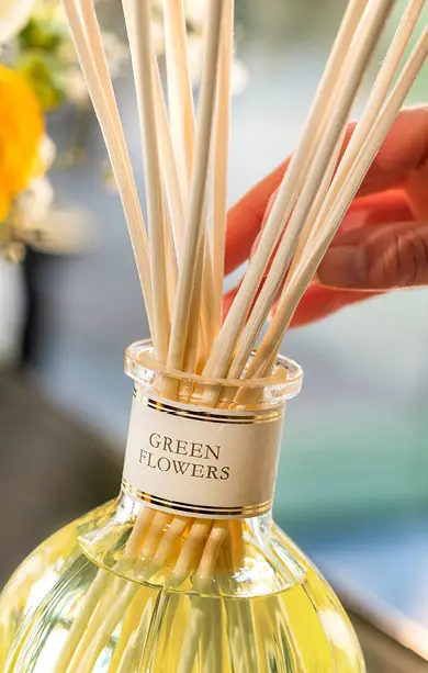 Вся линейка ароматов для дома Dr. Vranjes