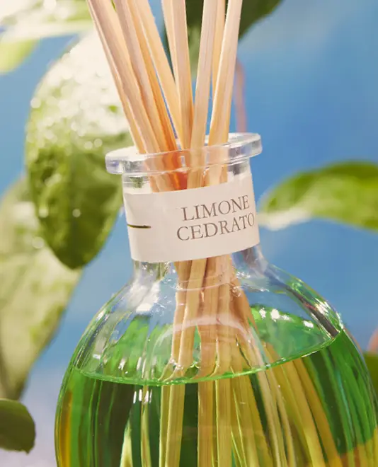 Вся линейка ароматов для дома Dr. Vranjes