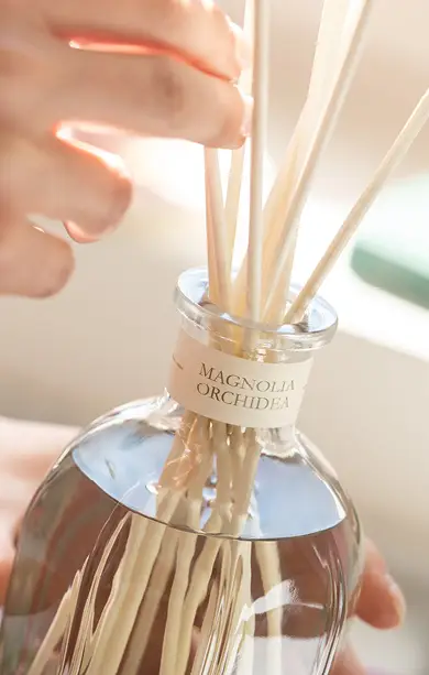 Вся линейка ароматов для дома Dr. Vranjes