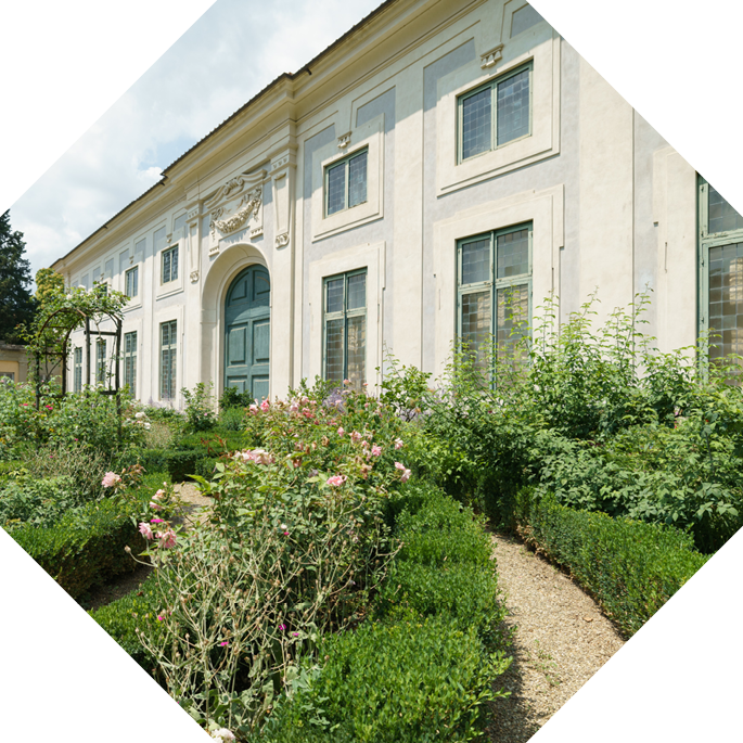 Вдохновение